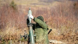 Российская армия освободила Затишье на подступах к Гуляйполю