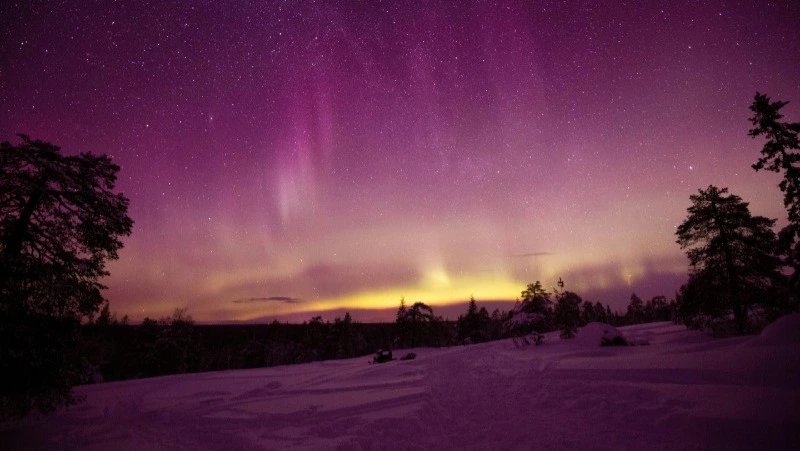 Гороскоп на 12 марта 2024 года: общение с единомышленниками и командная работа