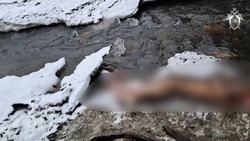 Следователи Сахалина нашли тело пропавшего мужчины и его предполагаемого убийцу