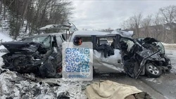 Водитель за рулем Toyota насмерть разбился в Анивском районе