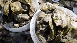 Популярный видеоблогер рассказал подписчикам о поездке на Сахалин