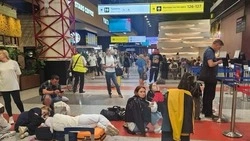 Тысячи рейсов задержали в Шереметьево и Пулково из-за операции «Ковер»: люди спят на полу 