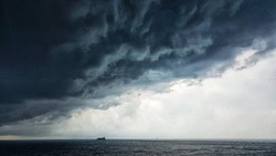 Прогноз погоды на Сахалине и Курилах на 25 сентября