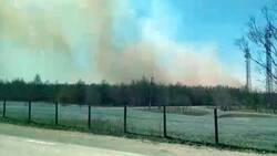 В Анивском районе горит 15 гектаров полей — жители переживают за ферму маралов