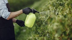 «Бизнес есть бизнес»: сахалинские производители удобрений — об импортозамещении