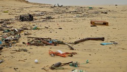 Покрытый мусором пляж в Песчанском требует внимания сахалинцев