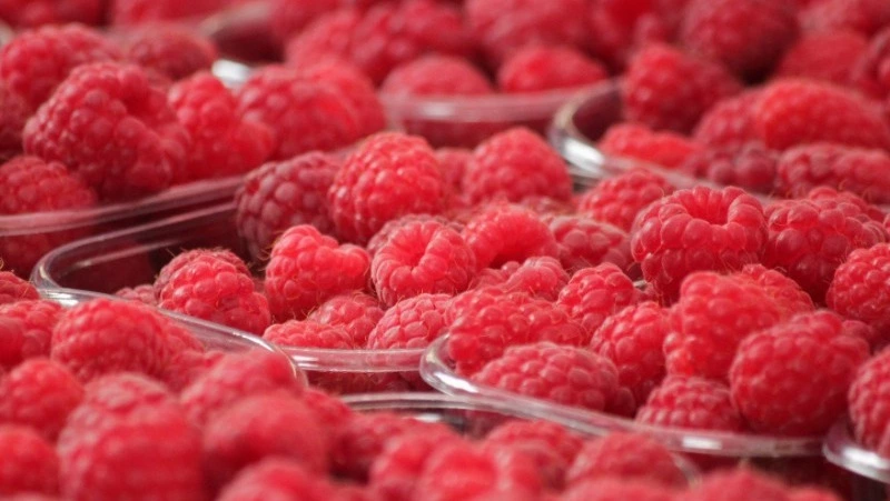 Церковный праздник 16 августа 2024: что нельзя делать в этот день, приметы