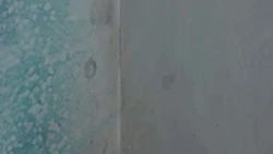 Плесень ищут под штукатуркой: в переулке Посадском Южно-Сахалинска ищут причину сырости