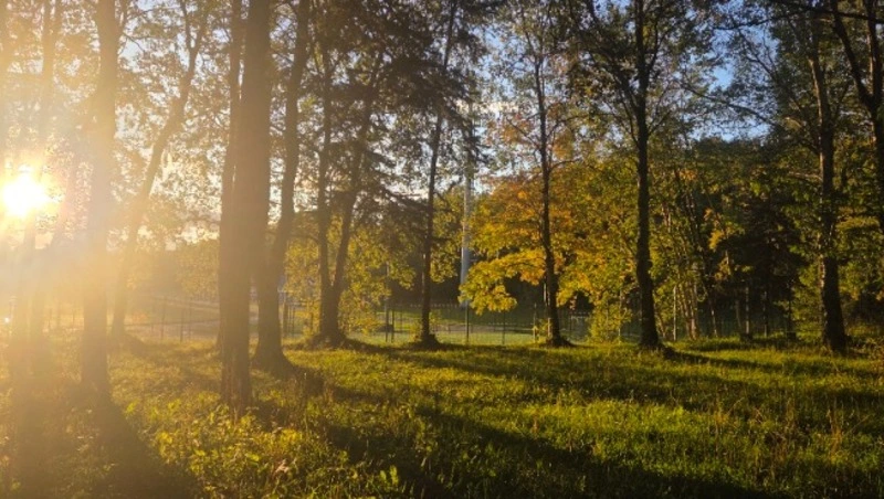 Первый день октября пройдет без осадков в Южно-Сахалинске