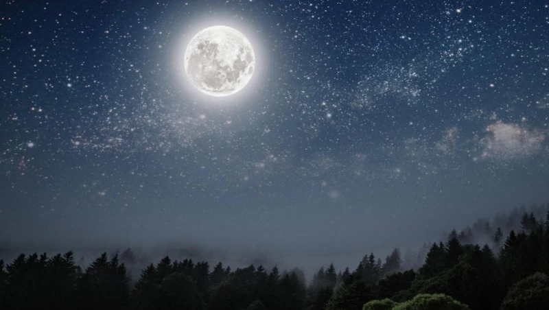 Гороскоп на неделю с 10 по 16 марта 2025 года для каждого знака зодиака