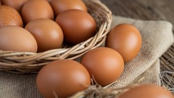 ФАС возбудила дела из-за роста цен на куриные яйца