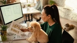 Каждый четвертый житель Южно-Сахалинска хочет приводить своего питомца на работу