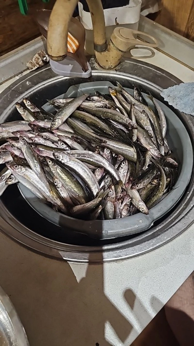 На Сахалине стартовал сезон подледной рыбалки