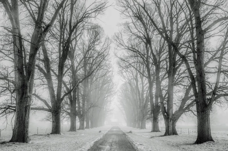 Один участок дороги к Новому году откроют в Южно-Сахалинске