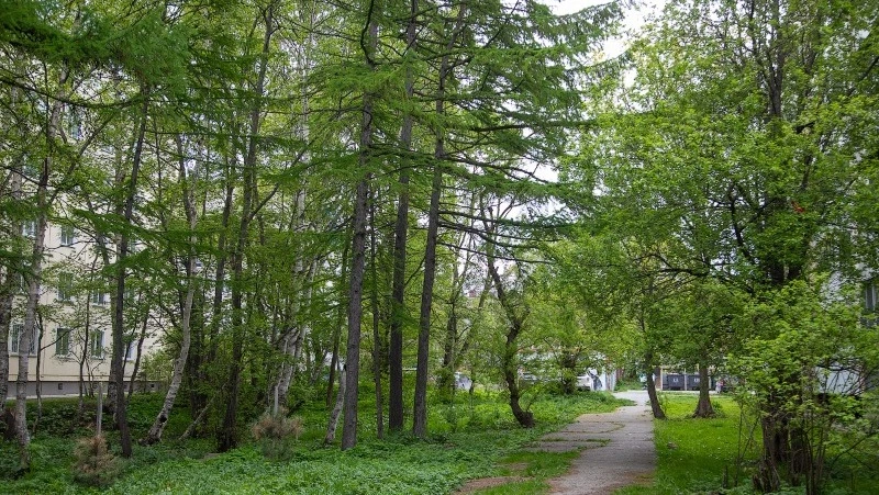 В Южно-Сахалинске построят мини-сквер на улице Есенина