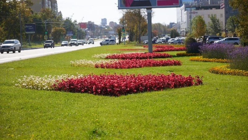 Улицы Южно-Сахалинска украсят 80 тысяч тюльпанов