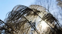 Солнце и тепло на Сахалине, метель и дождь на Курилах: прогноз погоды на 18 апреля