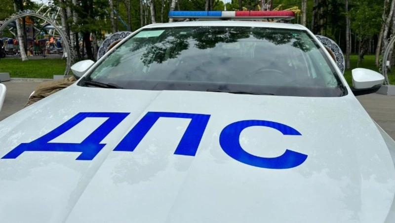 Пьяный водитель в Холмске напал на сотрудников ДПС и стал фигурантом дела