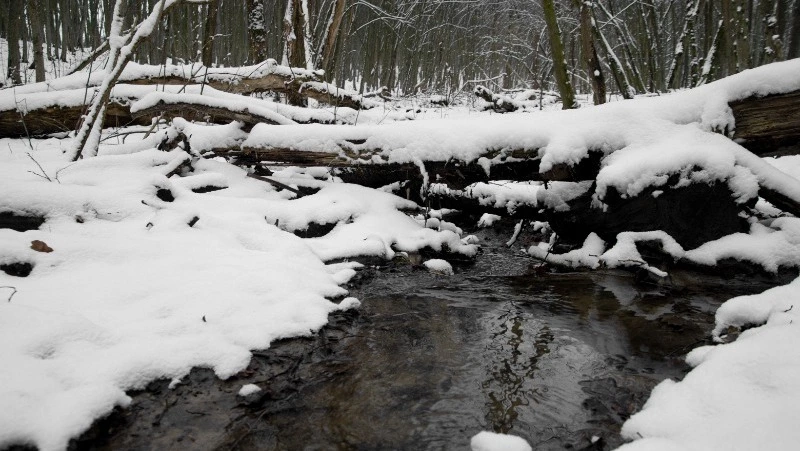 Потепление до +4 придет в Южно-Сахалинск 20 марта