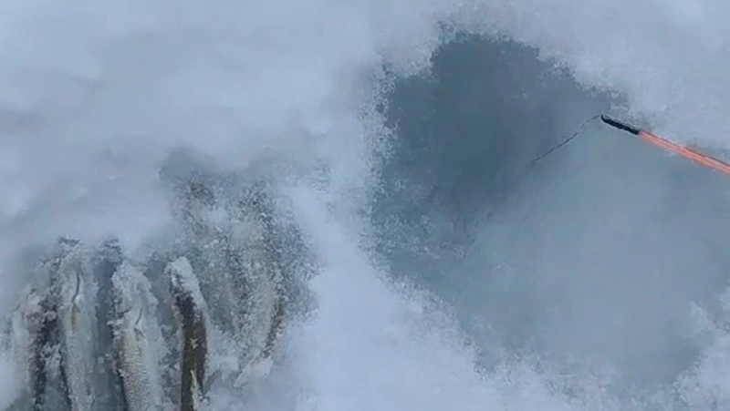 Рыбак-экстремал не испугался циклона и вышел на лед в районе Стародубского