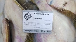 Свежую камбалу по 56 рублей за кг привезли жителям Томаринского района 26 июля