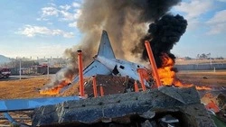 В Южной Корее из-за стаи птиц разбился Boeing, погибли 47 человек