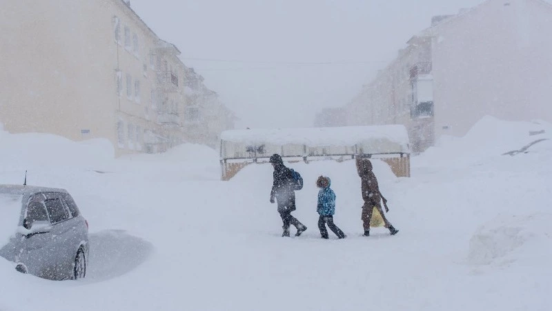 Жителей Южно-Сахалинска попросили заранее выбрасывать мусор в преддверии метели