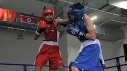 В соревнованиях «Юность Сахалина» примут участие более 80 дальневосточных боксеров