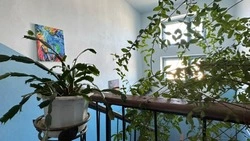 Самые лучшие подъезды выбрали в Углегорском районе