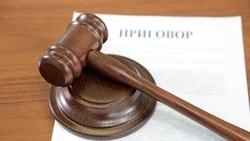 Курьер помог мошенникам за месяц похитить более 1 млн рублей у пожилых сахалинцев