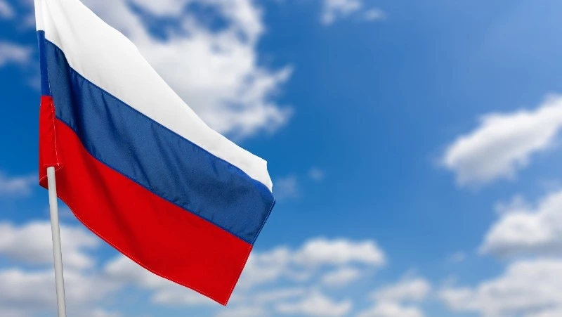 Госдума разрешила использовать армию для защиты россиян за рубежом