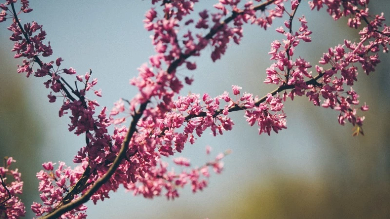 Прогноз Таро на 2 августа 2023: главный совет карт на день