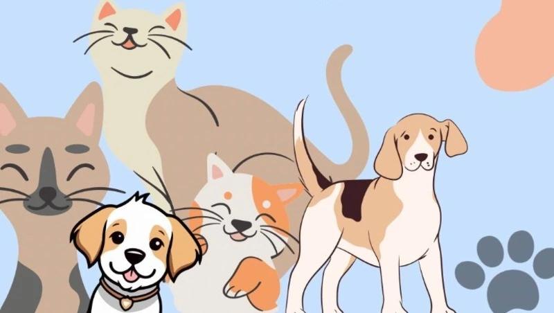 Приют «Пес и Кот» пригласил жителей Сахалина на день открытых дверей 