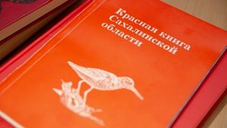 Новые штрафы ввели за вред животным и растениям из Красной книги Сахалина