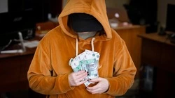 Житель Сахалина подарил полмиллиона рублей мошенникам за «спасибо»