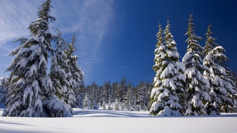 Морозное утро обещают на Сахалине и Курилах 12 декабря