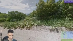 Блогер определил Сахалин по ханкайским лопухам в популярной игре GeoGuess