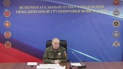 Путину доложили об освобождении Димитрова и Гуляйполя 