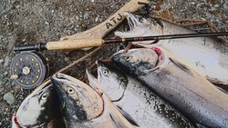 Рыбалка на Сахалине оказалась самой криминальной на Дальнем Востоке