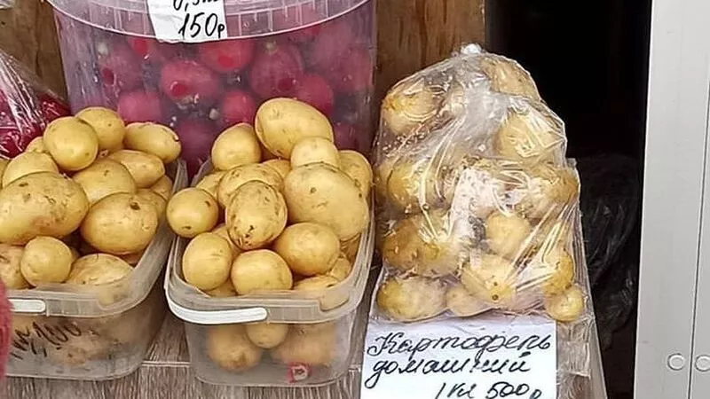 Южносахалинцы пугают соседей «золотой» картошкой, которую продают за 500 рублей за килограмм