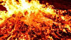 ДТП, пожары и мертвые птицы: новости выходных в Сахалинской области