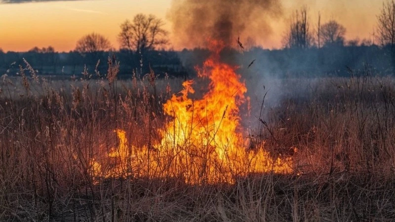 Более 200 квадратных метров сухой травы выгорело в Тымовском районе