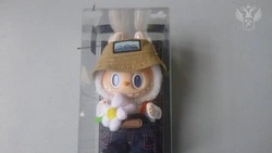 Производитель игрушек Лабубу хочет зарегистрировать в РФ товарный знак Labubu