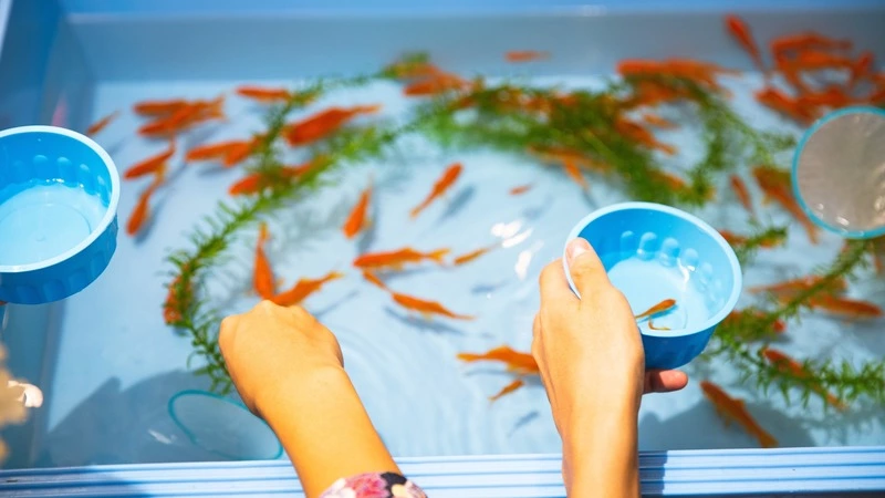 На Сахалине возбудили уголовное дело о гибели миллиона мальков