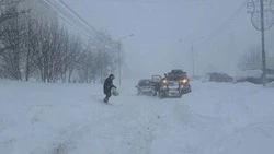 Снег и порывы ветра до 20 м/с придут на Сахалин и Курилы 21 января