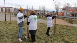 «Сад Поколений» в Шахтерске готов к зиме