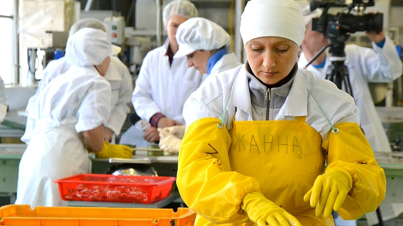 Власти выяснят, куда делись квоты рыбокомбината «Островной»