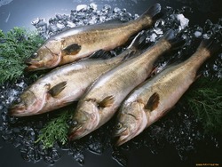 Доступную рыбу привезут жителям Южно-Сахалинска 12 июля. АДРЕСА