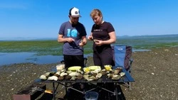 Огромные УСТРИЦЫ под ногами. Природный парк или ресторан? Озеро БУССЕ на Сахалине!