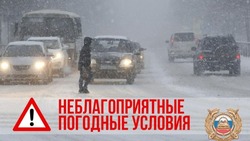 В ГИБДД призвали пешеходов к осторожности из-за метели на Сахалине 29 ноября